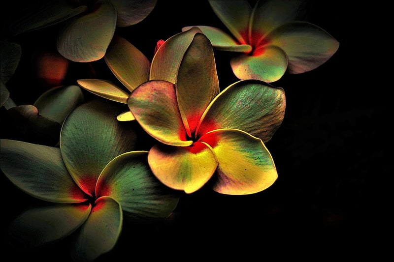 Tie-dye fabric